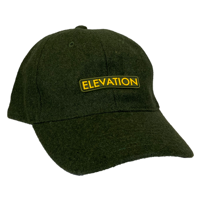 Black Eyed Peas "Elevation" Dad Hat in Olive