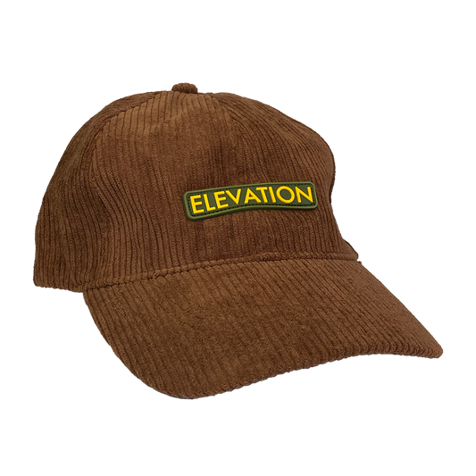 Black Eyed Peas "Elevation" Dad Hat in Brown Corduroy